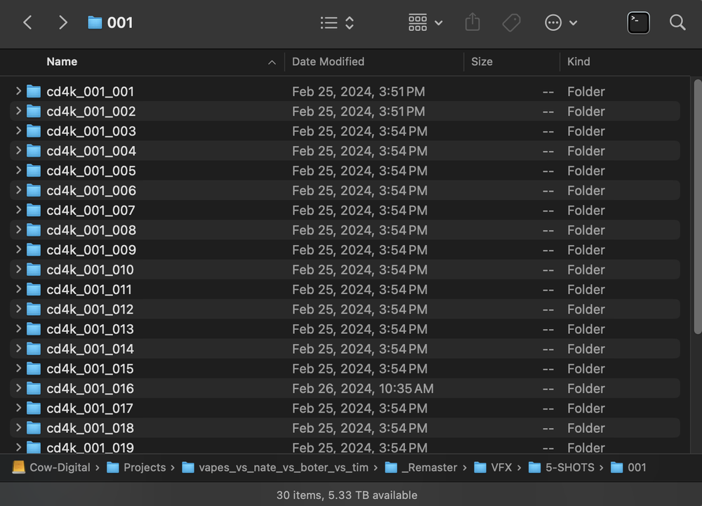 Auto-generated description: A computer screen displays a file directory with several folders, all named with variations of cd4k_001_xxx, modified on February 25, 2024.